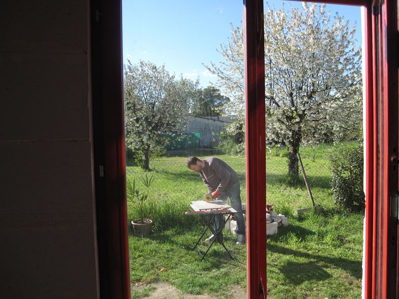 Chouette photo prise depuis la dépendance, avec en arrière-plan les cerisiers de la voisine en pleine floraison.